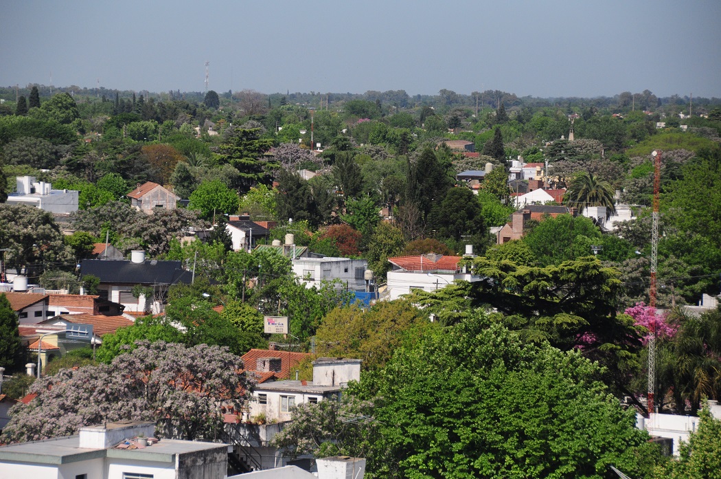 CONVOCATORIA AMBIENTAL