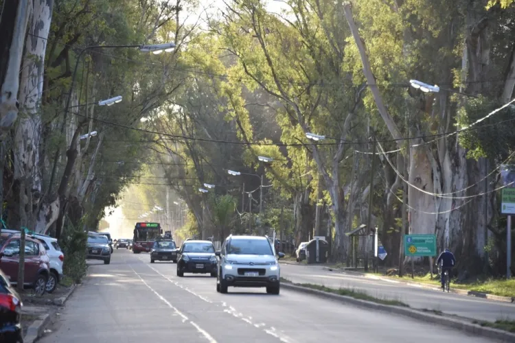 AVENIDA MARTÍN FIERRO: CORTE POR OBRAS EN PAVIMENTOS