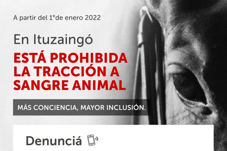 POR MÁS CONCIENCIA Y MÁS INCLUSIÓN SOCIAL