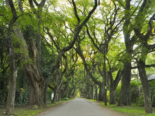 Parque Leloir