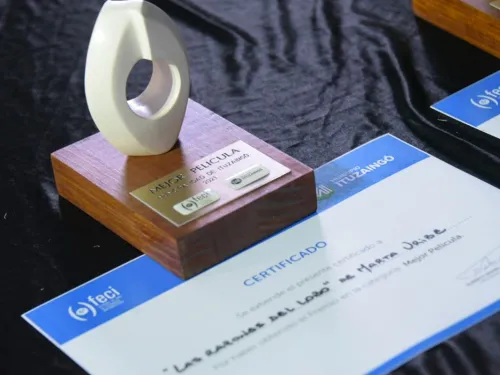 CONOCÉ QUIÉNES  GANARON EL FECI
