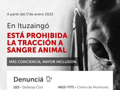 POR MÁS CONCIENCIA Y MÁS INCLUSIÓN SOCIAL
