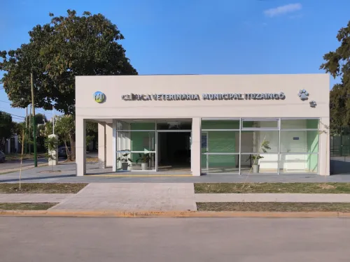 CLÍNICA VETERINARIA MUNICIPAL