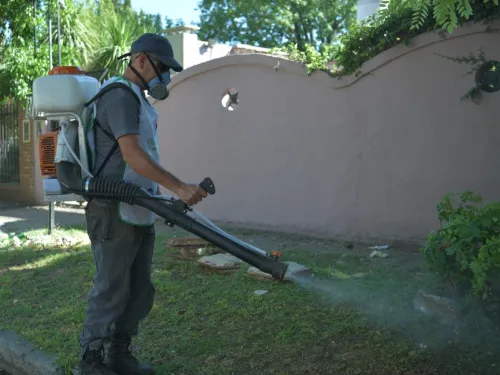 Fumigación